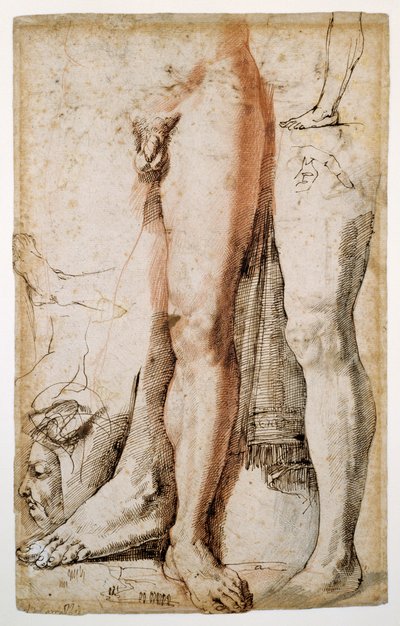 Estudios de la pierna izquierda de un hombre, una mano izquierda y una cabeza de hombre en perfil de Agostino Carracci
