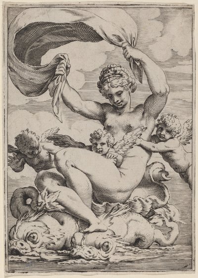 Venus o Galatea sostenida por delfines de Agostino Carracci