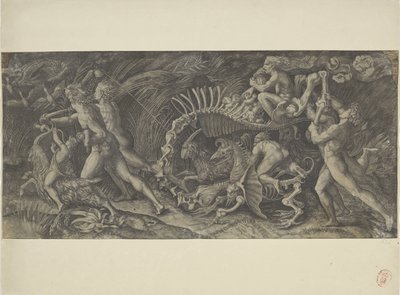La carcasa
Lo stregozzo de Agostino Veneziano