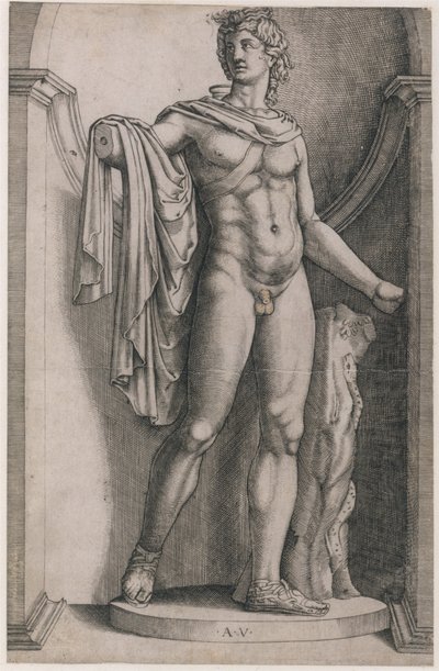Speculum Romanae Magnificentiae: Apolo Belvedere de Agostino Veneziano