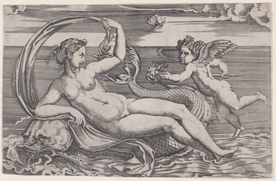 Venus Reclinado sobre un Delfín de Agostino Veneziano