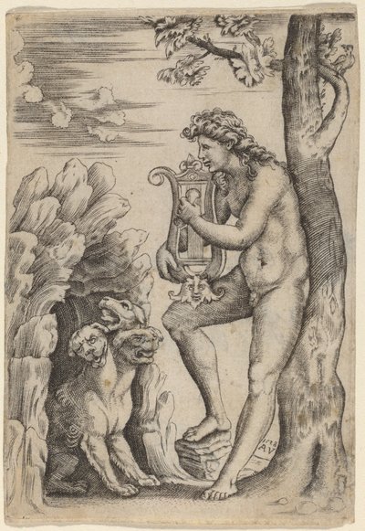 Orfeo de Agostino dei Musi