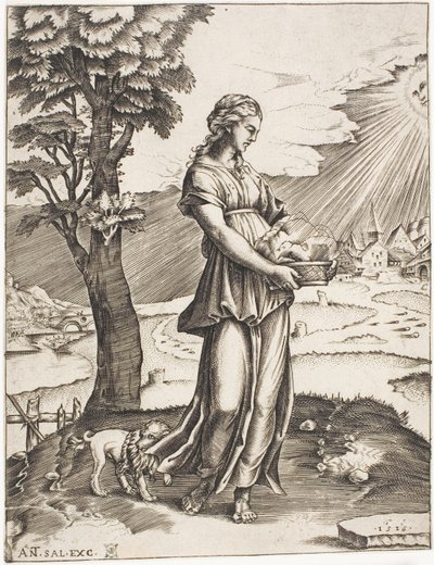 La Sibila de Cumas de Agostino dei Musi