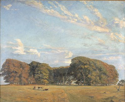 Llanura de la Ermita de Aksel M. Lassen
