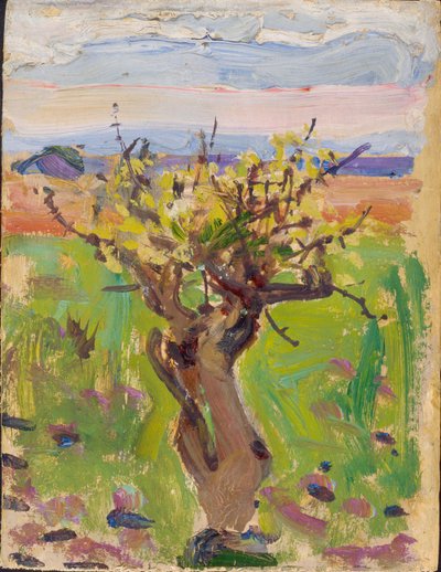  de Akseli Gallen-Kallela