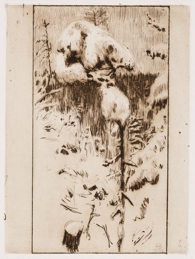 Pino nevado de Akseli Gallen-Kallela