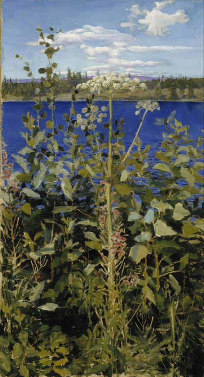 Angélica silvestre de Akseli Gallen-Kallela