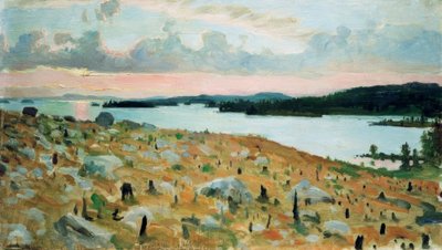 Bosque talado en la orilla del lago Kallavesi de Akseli Valdemar Gallen Kallela