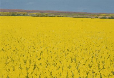 Campo de colza, 2003 de Alan Byrne