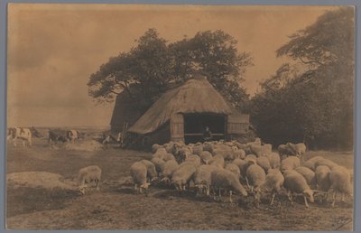 Paisaje con ovejas, vacas, granjero y redil, Países Bajos El Alba del Redil. Kapteyn, La Haya (título sobre objeto) de Alb. Kapteijn
