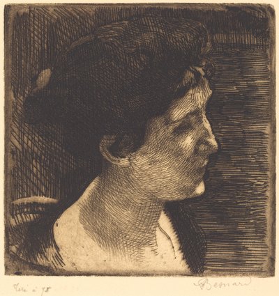 Mujer en Perfil Completo de Albert Besnard