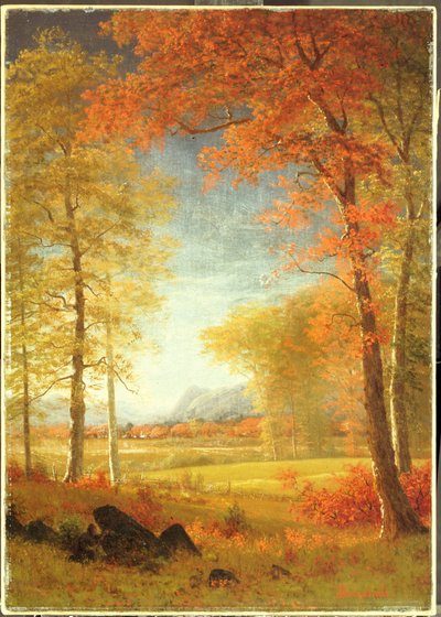 Otoño en América, condado de Oneida, Nueva York de Albert Bierstadt
