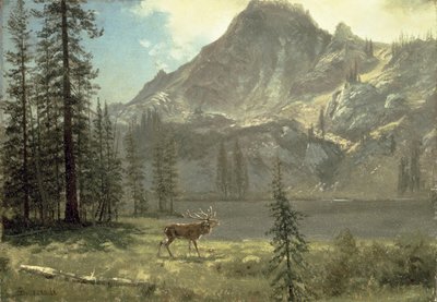 El llamado de la selva de Albert Bierstadt