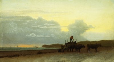 Vista costera, Newport, 1861 de Albert Bierstadt