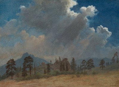 Árboles de abeto y nubes de tormenta, c. 1870 de Albert Bierstadt