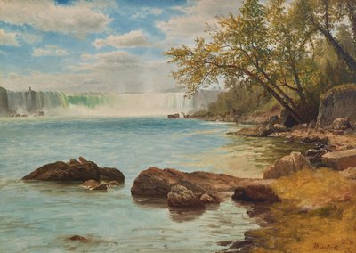Cataratas del Niágara con Terrapin Tower, c.1869 (óleo sobre papel) de Albert Bierstadt