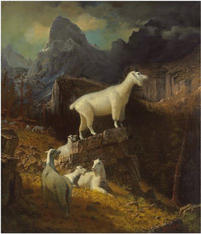 Cabras de las Montañas Rocosas, c.1885 de Albert Bierstadt