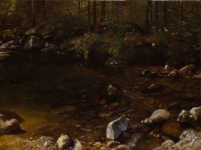 Piscina sombreada, Montañas Blancas, New Hampshire, c. 1869 de Albert Bierstadt