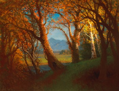 Atardecer en el Territorio de Nebraska de Albert Bierstadt