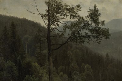 Montañas arboladas de Albert Bierstadt