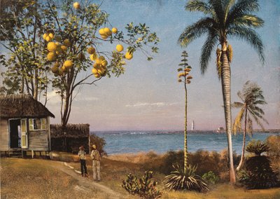 Escena Tropical de Albert Bierstadt
