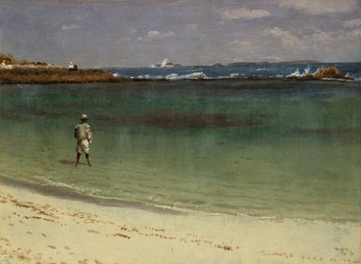 West Indies Coast Scene, c.1880-93 (óleo sobre papel montado en tablero de fibra) de Albert Bierstadt