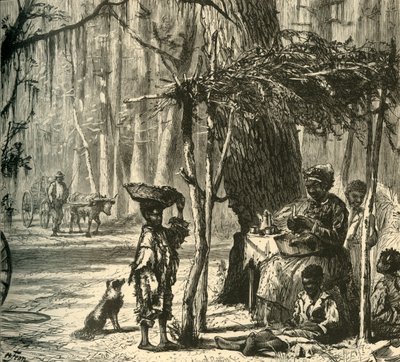 Una escena al borde del camino cerca de Charleston, 1872 de Albert Bobbett
