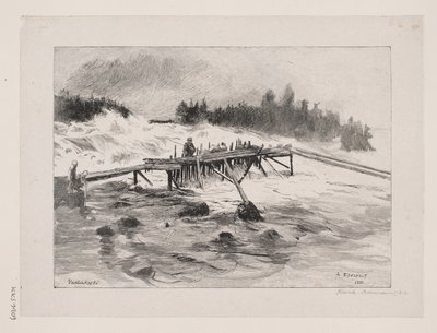 Una cascada. Vallinkoski de Albert Gustaf Aristides Edelfelt