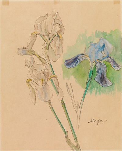  de Albert Edelfelt
