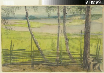 Paisaje de verano de Albert Edelfelt