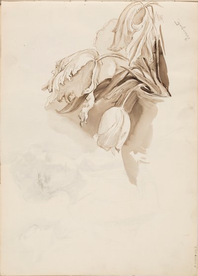 Tulipanes de Albert Edelfelt
