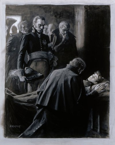 Wilhelm von Schwerin, Ilustración para «Finlandia en el siglo XIX» de Albert Edelfelt