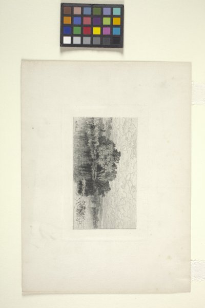 Paisaje con lago (tinta) de Albert Fitch Bellows