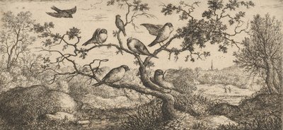 El camachuelo: Libro de aves, 1655-1660 de Albert Flamen