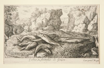 Gabius o Fundus. Le Goujon de Albert Flamen