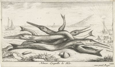 clavado en la playa Admos. Lesguille de Mer. (título en el objeto) Peces y otras criaturas marinas: tercera serie de agua salada (título de la serie) Poissons de mer (título de la serie) de Albert Flamen