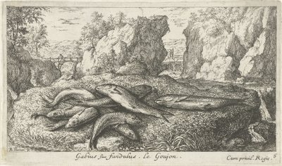 Gobios en la orilla de un río Gabius siue fundulus. Le Goujon. (título en el objeto) Peces y otras criaturas marinas: segunda serie de agua dulce (título de la serie) Seconde partie de Poissons d
