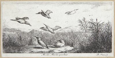 El pescador (Alcedo) de Albert Flamen