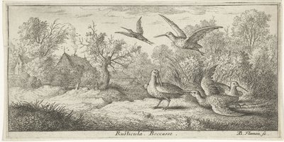 Paisaje con becadas Rústica. Porque. (título en el objeto) Libro de aves (título de la serie) Livre d