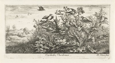 Paisaje con jilguero en cardo Carduelis; Chardonneret. (título en el objeto) Libro de aves (título de la serie) Livre d