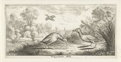Paisaje con dos rieles en un banco Ortigómetra. regla (título en el objeto) Libro de aves (título de la serie) Livre d