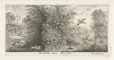 Paisaje con agachadiza Menor rústico. beccasin (título en el objeto) Libro de aves (título de la serie) Livre d