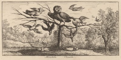 Monedula, El Búho de Albert Flamen