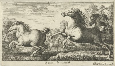 Caballos Equus le Cheval (título sobre objeto) Diferentes especies animales (título de la serie) de Albert Flamen
