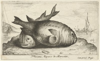 Dos marsopas en la playa Phoca Na, Espèce de Marsoüin, (título sobre objeto) Peces y otras criaturas marinas: tercera serie de agua salada (título de la serie) Poissons de mer (título de la serie) de Albert Flamen