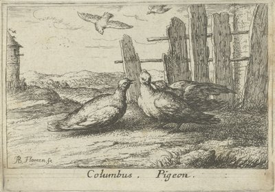 Dos palomas en una valla Colón. paloma. (título en el objeto) Trece especies de aves (título de la serie) Diuersae Auium Specie (título de la serie) de Albert Flamen