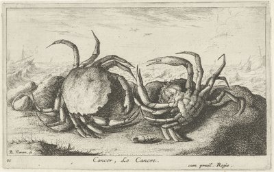 Dos cangrejos en la playa Cáncer, Le Cancre (título sobre objeto) Peces y otras criaturas marinas: primera serie de agua salada (título de la serie) Diverse Especes de Poissons de mer (título de serie) de Albert Flamen