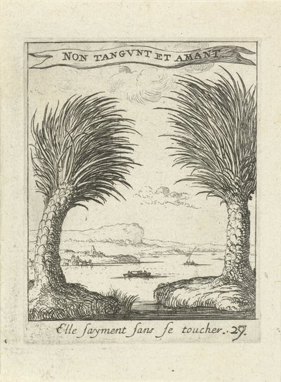 Dos palmeras, separadas entre sí Emblemas de amor moralizantes (título de la serie) Devises et emblesmes d