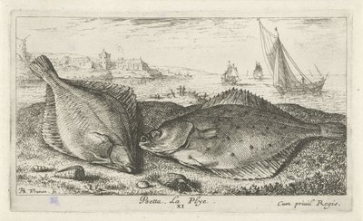 Dos lenguados en la playa peseta La Plyé. (título en el objeto) Peces y otras criaturas marinas: segunda serie de agua salada (título de la serie) Poissons de mer (título de la serie) de Albert Flamen