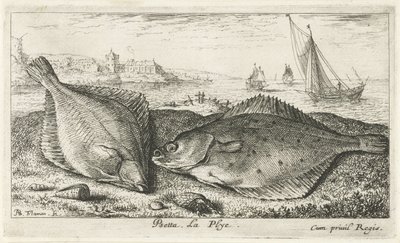 Dos lenguados en la playa peseta La Plyé. (título en el objeto) Peces y otras criaturas marinas: segunda serie de agua salada (título de la serie) Poissons de mer (título de la serie) de Albert Flamen